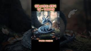 청룡 드래곤 성장기  1살~10000살