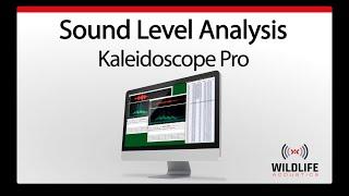 Kaleidoscope Pro: Sound Level Analysis | Identify and Analyze Animal Sounds