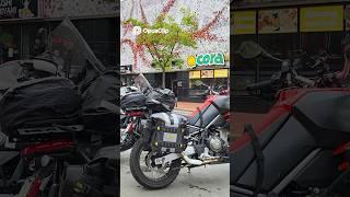 Downtown  Dog & Irish Town Mystery!