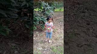 mango orchard#aam ka baag#आम का बाग#innayaaqsavlog #familychannel #vlogshortsvideo #travelvideo