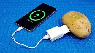 How to Generate free electricity from potato (Charge your phone easily) | Simple Tips