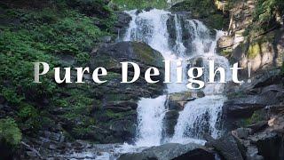 Pure Delight - Official Lyric Video