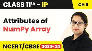 Attributes of NumPy Array (Theory & Practical) | Class 11 Informatics Practices Chapter 6 (Code 065)