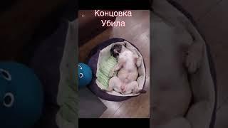 Удачные выходные.