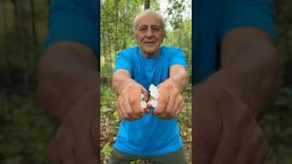 Survival skills: Fire lifehack #survival #bushcraft #camping
