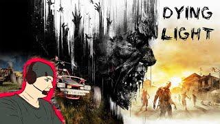 Dying Light platinum edition Nintendo Switch / Распаковка коллекционного издания