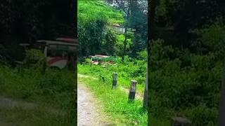 Beautiful Traveling with nature 2025 Nepal #automobile #pokhari #nepal #vlog #travel #shimla