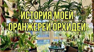 История моей оранжереи орхидей