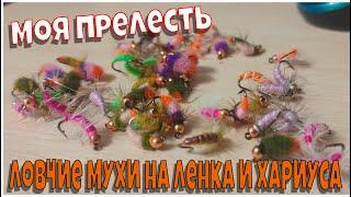 Ловчие мухи на Ленка и Хариуса - Моя прелесть