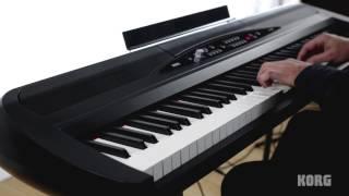 Korg SP-280 Digital Piano - Acoustic and Electric Piano Performance