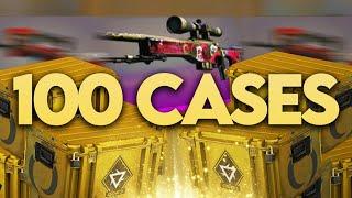 What 100 REVOLUTION CASES Gives You