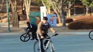 Fixed gear in korea