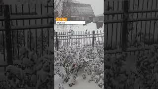 A severe ice storm occurred in Barnaul, which covered the city with a layer of ice. #shorts