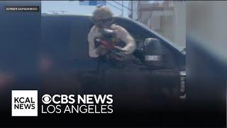 Immigrations protesters and federal agents clash in Bell