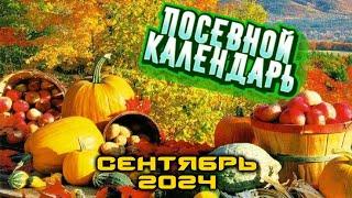 Агрогороскоп Сентябрь 2024: Лунный посевной календарь для сада и огорода