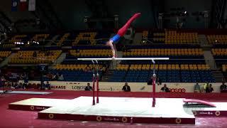 KHACHATRYAN Vigen (ARM) - 2018 Artistic Worlds, Doha (QAT) - Qualifications Parallel Bars