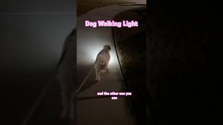 Great Dog Walking Light | Yaklim running light review! #review #dogproduct