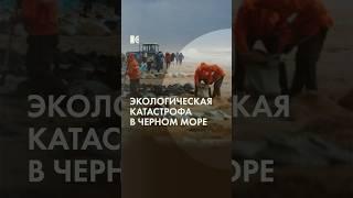 Черноморское побережье: катастрофа прямо сейчас