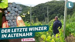 Weinlese im Ahrtal: Winzer kämpft um seinen 200 Jahre alten Weinberg!  | WDR Lokalzeit Land.Schafft.