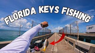 Florida Keys Bridge Fishing