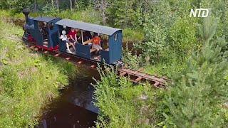 Аттракцион на даче: самодельный паровоз катает людей