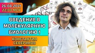 Константин Северинов. Введение в молекулярную биологию. Лекция 1: Клетки, Гены, ДНК.