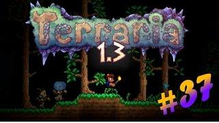 Terraria 1.3.0.8 Прохождение: #37 - Сектант и первые башни.