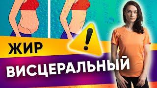 Как избавиться от висцерального жира?| Фитнес-тренер Евгения Кузнецова 12+