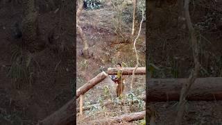 Chainsaw in action #chainsawman #chainsaw #woodworking