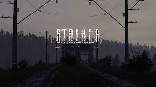 № 18 История одного бродяги DAYZ RP STALKER Performance Horizon