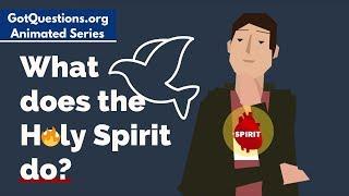 What does the Holy Spirit do?
