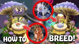 How to Breed Hairionette and Epic Strombonin | My Singing Monsters