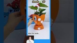 Bottle craft garden idea | বতোল বাগান #seedsplants33 #shorts #garden #craft #Bottle #bottlegarden