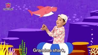 Baby Shark Dance | Маленькая Акула | Английский для детей | myKids