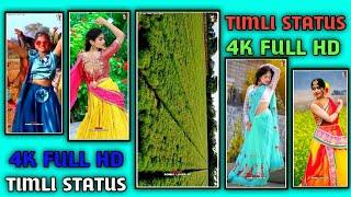 Vk bhuriya new timli status full screen || 4k status full screen gujarati timli 2023 || ▶️