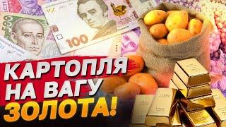 Ціна ВИСОКА, ЯК НІКОЛИ! Картопля по 35 грн - і ЦЕ НЕ МЕЖА!