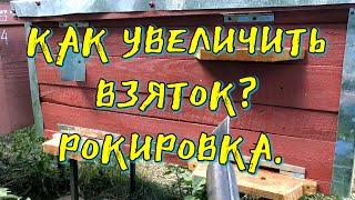 КАК УВЕЛИЧИТЬ ВЗЯТОК. РОКИРОВКА ПЕРЕД ОСНОВНЫМ МЕДОСБОРОМ.