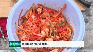 Ракушка по-корейски. Собираем и готовим