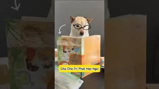  Tiểu Bạch học như mèo, kiến thức như gà ! #emthocreview #shorts #trend #viral #hàihước #giảitrí