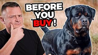 Is the Rottweiler Right For You?