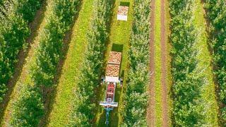 KRÓLIK Z-4 trailer | Picking up bins from the ground