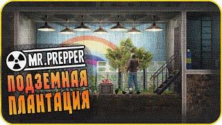 MR PREPPER ОБЗОР 2020. MR PREPPER ПРОХОЖДЕНИЕ #2