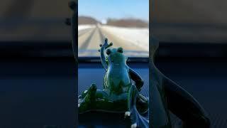 The frog is a traveler