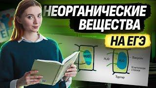 Неорганические вещества: вода и минеральные соли