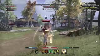 Stamina Warden PVP