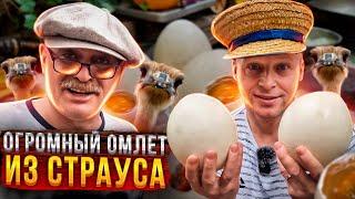 3 СТРАУСИНЫХ Яйца накормили 15 человек?? Я в Шоке от Такого Размера!