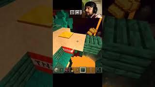 #minecraftshorts #shorts #funnyminecraft #piglin #funnyvideo