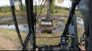 Cleaning the ditch after a beaver visit - Part 2