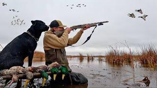 Solo DUCK HUNTING A Public Marsh | HUGE FLOCKS Of Mallards
