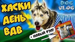 DOGVLOG: ХАСКИ ДЕНЬ ВДВ 2018. Говорящая собака